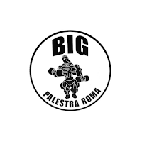 APP BIG Palestra