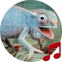 Reptile sounds ~ Sboard.pro