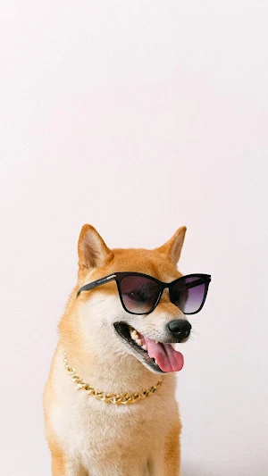 Shiba Inu Wallpaper Screenshot 2
