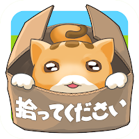 捨て猫レスキュー