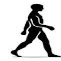 Walking Ruler