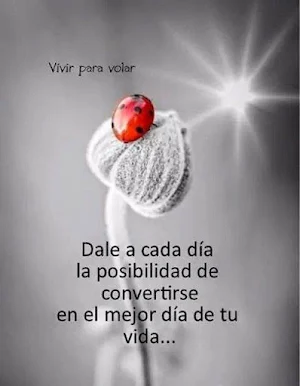 Reflexiones Hermosas de la Vida Screenshot 3