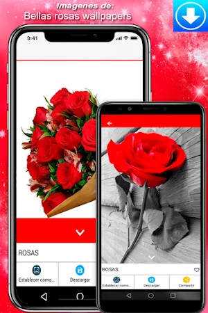 Rosas y flores para compartir Screenshot 1