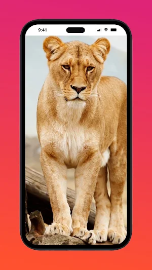 Animal Wallpapers Screenshot 1