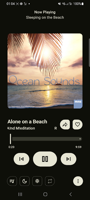 Tuner Radio - Mp3 player Screenshot 2
