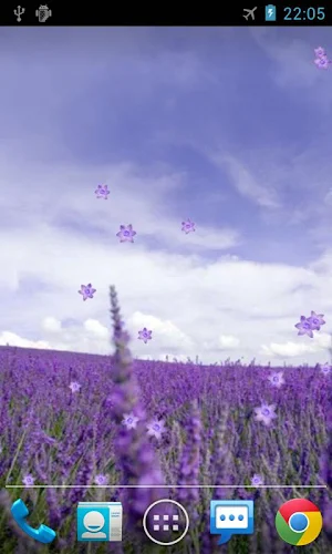 Lavender Live Wallpaper Screenshot 1