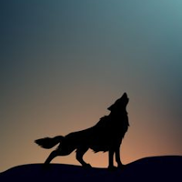 Wolf Wallpaper HD