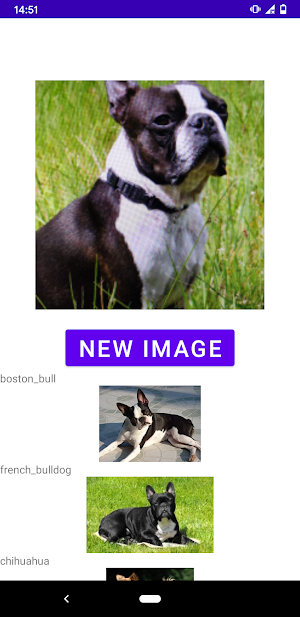 Dog breed identifier Screenshot 0