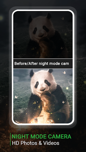 Night Camera Mode Photo Video Screenshot 3