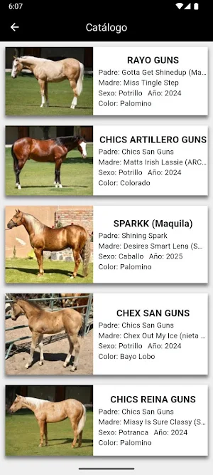 Imporhorse Screenshot 2