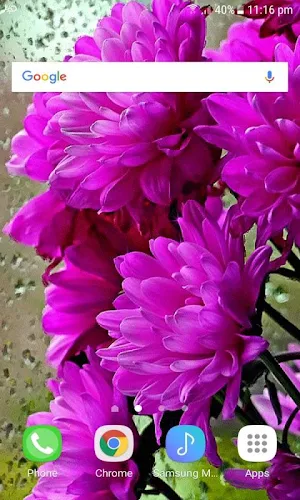 Shiny Flowers Live Wallpaper Screenshot 2