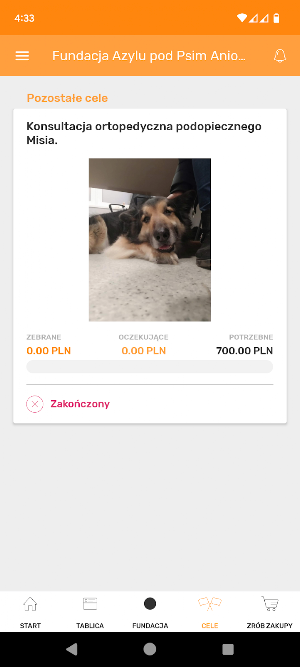 Fundacja Azyl Pod Psim Aniołem Screenshot 3