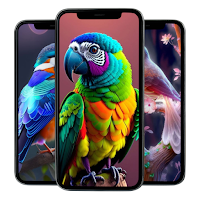 Bird Wallpaper HD