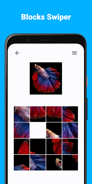 Puzzles Screenshot 2