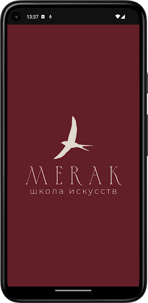 Школа искусств MERAK Screenshot 0