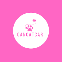 Cancatcar