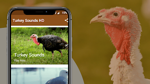 Turkey Sounds - Wild Turkey Calls Screenshot 1