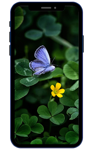 Butterfly Wallpapers Screenshot 2
