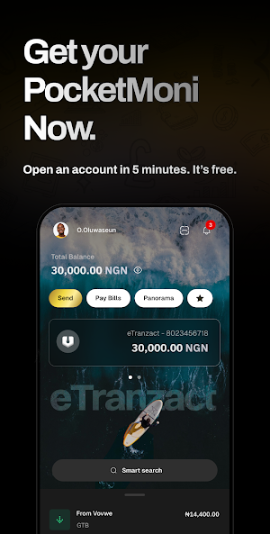 PocketMoni Screenshot 1