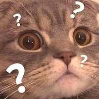 Which cat are you