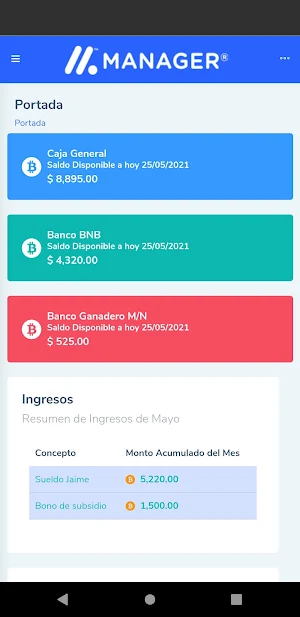 Manager Finanzas Screenshot 1