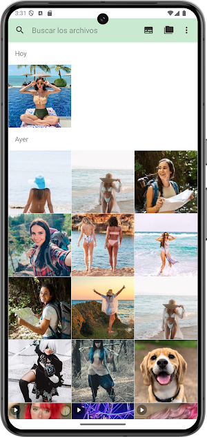 Gallery: Photos & Videos Screenshot 0