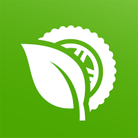 EcoDrive Academy