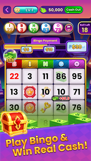 Bingo Bankroll Screenshot 0