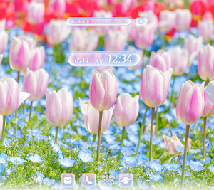 Tulips ＆ Nemophila Theme +HOME Screenshot 0