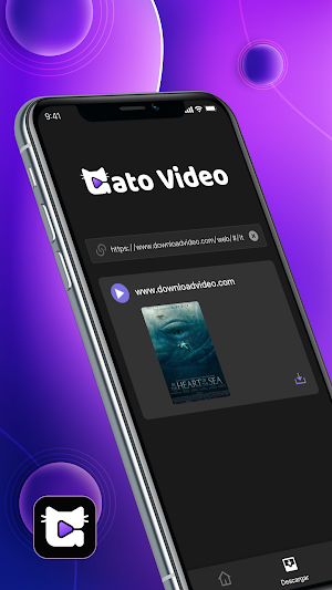 Gato Video Screenshot 1