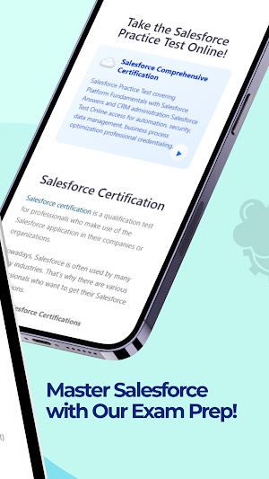 Salesforce Practice Test Screenshot 1