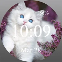 Blue eyed cat - Watch Face