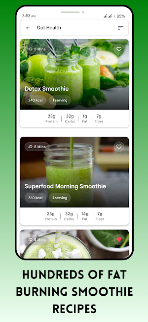 Fat Burning Smoothie Recipes Screenshot 3
