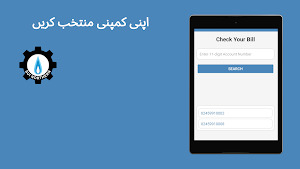 Sui Gas Bill Check Online Screenshot 2