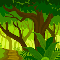 forest background