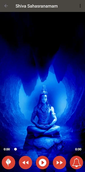 Shiva Sahasranam Stotram Screenshot 1