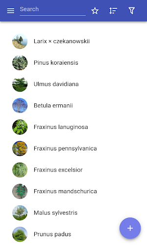 Trees Screenshot 0