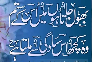 Bhool Urdu Shayari بھول اردو شاعری Screenshot 3
