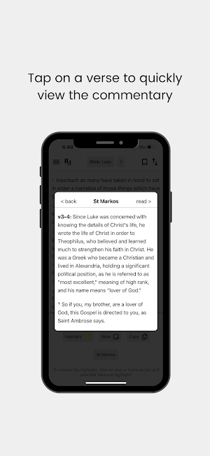 Coptic Commentaries Screenshot 1