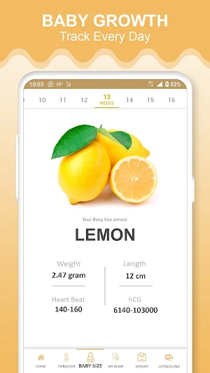 Pregnancy App: Baby Tracker Screenshot 2