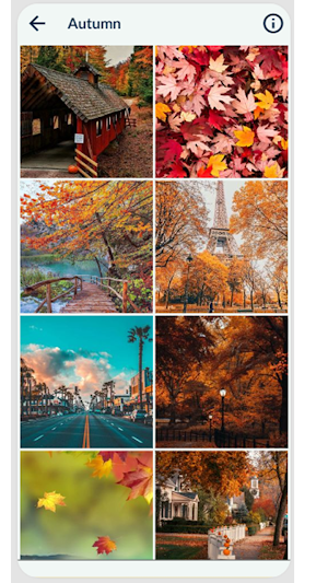 Autumn Wallpaper Screenshot 3