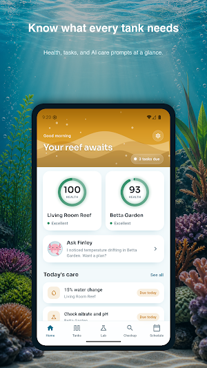 AI Aquarium Doctor: Fish Care Screenshot 0