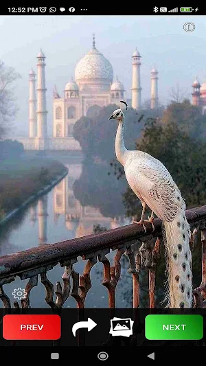 Taj Mahal Wallpapers Screenshot 3