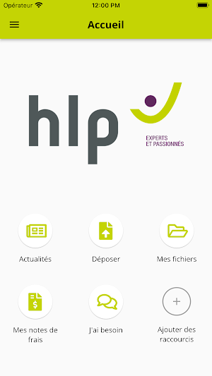 HLP Audit Screenshot 1