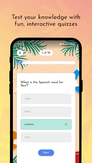 FlashTalk: Language Flashcards Screenshot 3