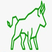 BigBull - Market News App