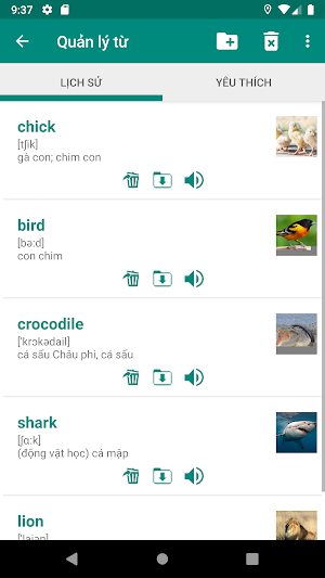 Vietnamese English Dictionary Screenshot 3