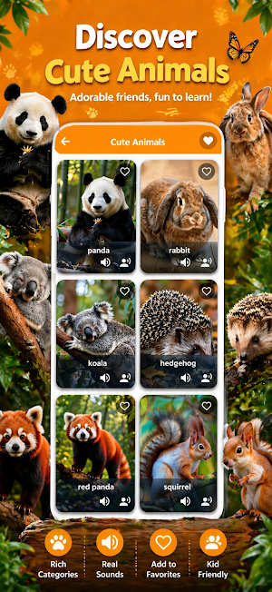 Animal Sounds & Flashcards Screenshot 2