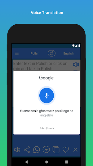 Polish to English Translator Screenshot 3