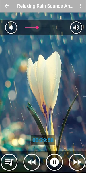 Soft Rain Sounds for Sleeping Screenshot 0